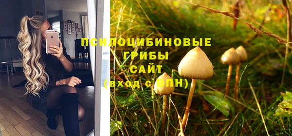 таблы Алексеевка