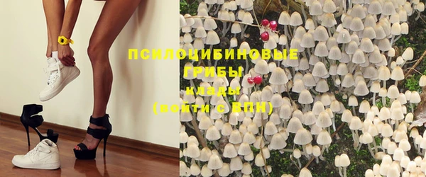 хмурый Алзамай