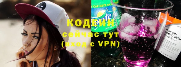 хмурый Алзамай