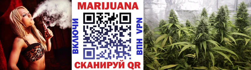 Бошки Шишки семена Аргун